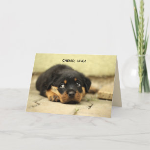 DE AGRADECIMIENTO CHEMO-UGG PUPPY OBTENER TARJETA BIEN