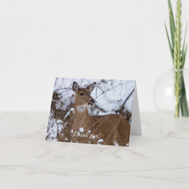 De Agradecimiento Chewy Gracias Tarjeta (Anverso)