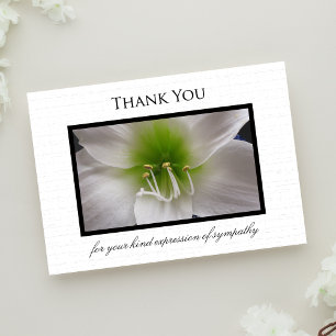 De Agradecimiento Compasión Gracias Tarjeta plana - Amaryllis