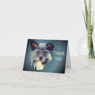 De Agradecimiento Cute Mutt Terrier Raza Mixta Perro Gracias Tarjeta