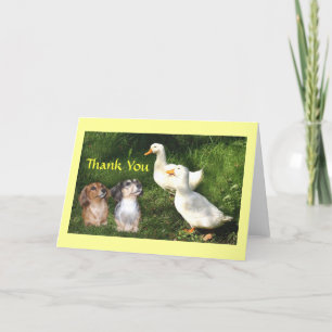 De Agradecimiento Dachshunds Gracias Tarjeta Con Patos