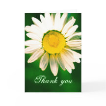 Daisy Gracias Tarjeta