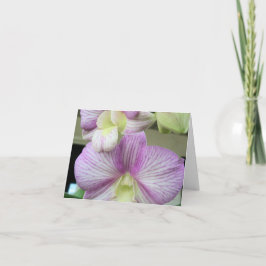 De Agradecimiento Delicada orquídea blanca y violeta en una tarjeta 