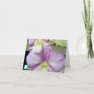 De Agradecimiento Delicada orquídea blanca y violeta en una tarjeta