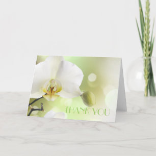 De Agradecimiento Delicada tarjeta Primavera blanca Orquídeas