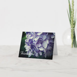 De Agradecimiento Dulce Blue Hydrangea Flor Gracias Tarjeta
