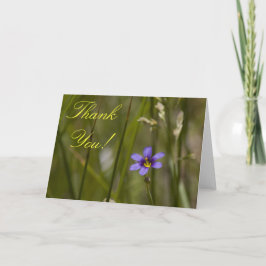 De Agradecimiento El Wildflower le agradece la tarjeta 6