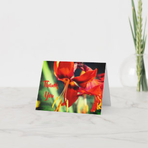 De Agradecimiento Fiery Naranja Lily Flower Gracias Tarjeta