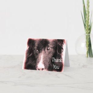 De Agradecimiento Frontera Collie Face Dog Art Gracias Tarjeta