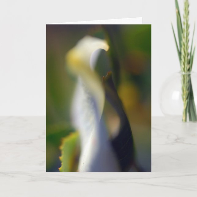 De Agradecimiento Graceful Floral plegado tarjeta en blanco (Anverso)