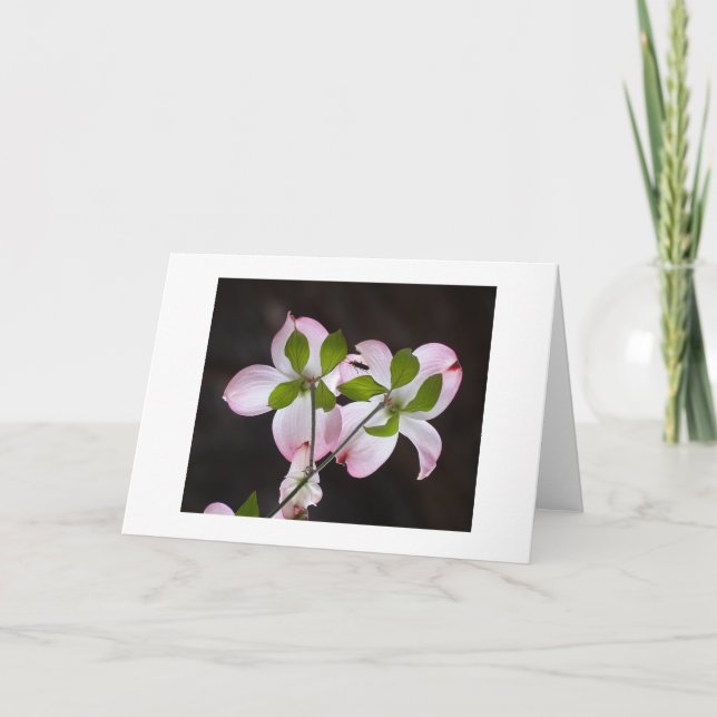 DE AGRADECIMIENTO GRACIAS TARJETA (Anverso)