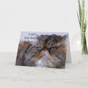 De Agradecimiento Gracias tarjeta persa del gatito del calicó