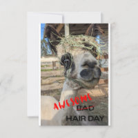 Graciosa Tarjeta Alpaca, Cualquier Ocasión Gracias