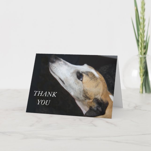 De Agradecimiento Greyhound Dog Gracias Tarjeta (Anverso)