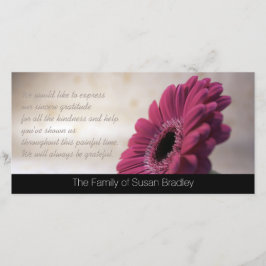 De Agradecimiento La condolencia del Gerbera le agradece la tarjeta