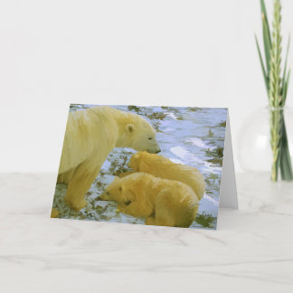 De Agradecimiento La madre del oso polar y sus cachorros con tarjeta