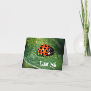 De Agradecimiento Ladybug Close Nature Agradece tarjeta