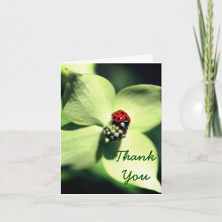 De Agradecimiento Ladybug En Flor Nature Gracias Tarjeta