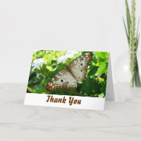 Mariposa en Jazmín gracias tarjeta