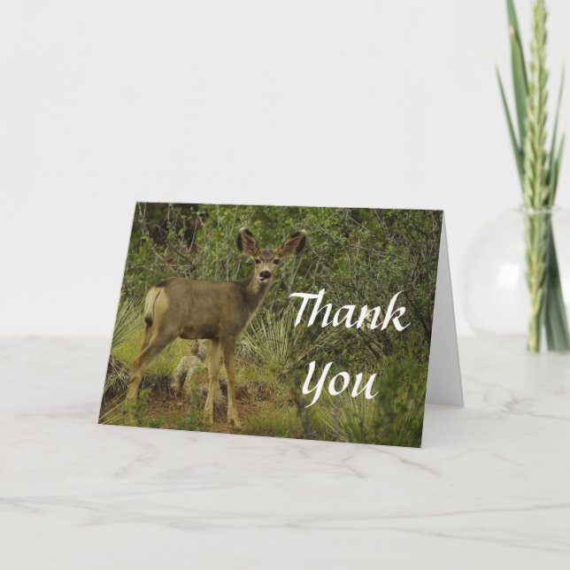 De Agradecimiento Mule Deer Raspberry Gracias Tarjeta (Anverso)