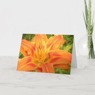 De Agradecimiento Naranja, Lily, Para Brillar Tu Tarjeta Mundial
