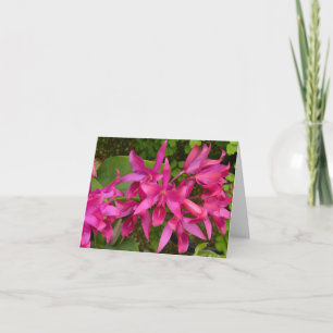 De Agradecimiento Orquídeas rosadas toda la tarjeta del