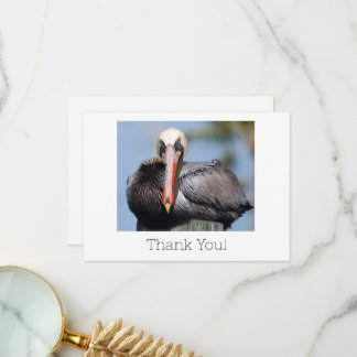 De Agradecimiento Pelican Gracias tarjeta