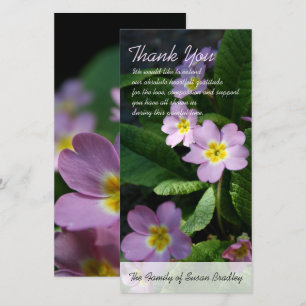 De Agradecimiento Primula Spring Flowers 2 Sympathy Gracias Tarjeta