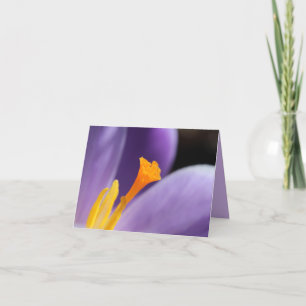 De Agradecimiento Púrpura Crocus Flor Saffron Stigma Gracias Tarjeta