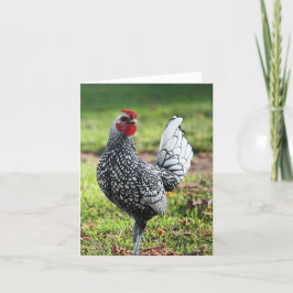 De Agradecimiento Rooster, tarjeta en blanco
