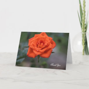 De Agradecimiento Rosa naranja Gracias Tarjeta (en blanco dentro)