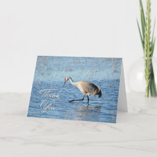 De Agradecimiento Sandhill Crane Wading Foto Gracias Tarjeta