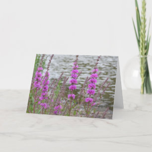 De Agradecimiento Tarjeta en blanco con altas flores rosadas cerca d