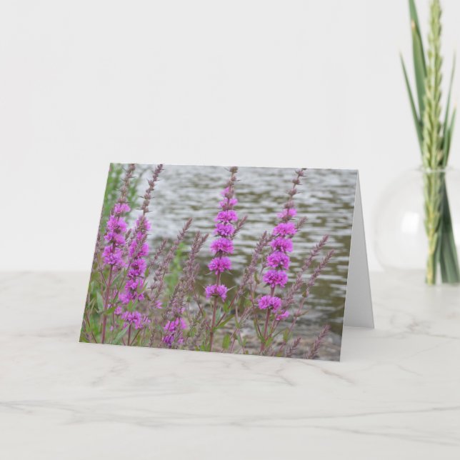 De Agradecimiento Tarjeta en blanco con altas flores rosadas cerca d (Anverso)
