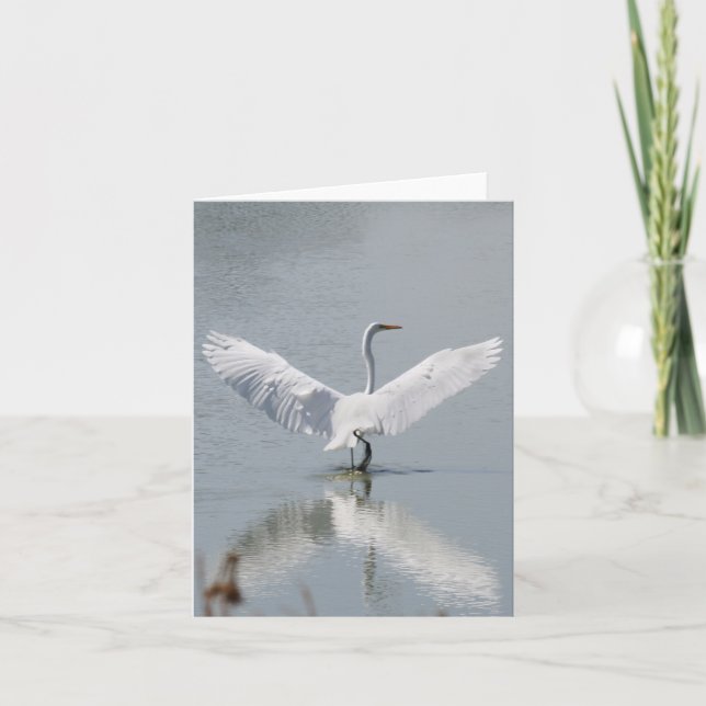 De Agradecimiento Tarjeta en blanco, Egret (Anverso)