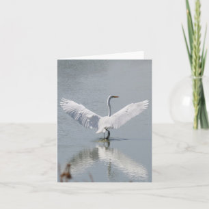 De Agradecimiento Tarjeta en blanco, Egret