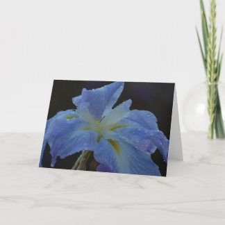 De Agradecimiento Tarjeta en blanco - iris