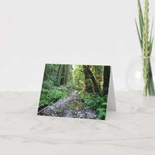 De Agradecimiento Tarjeta en blanco, Muir Woods