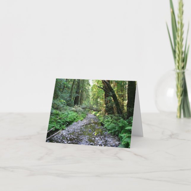 De Agradecimiento Tarjeta en blanco, Muir Woods (Anverso)