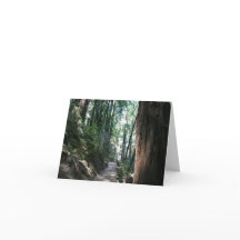 Tarjeta en blanco, Muir Woods