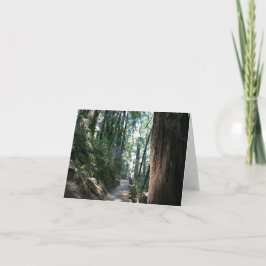 De Agradecimiento Tarjeta en blanco, Muir Woods