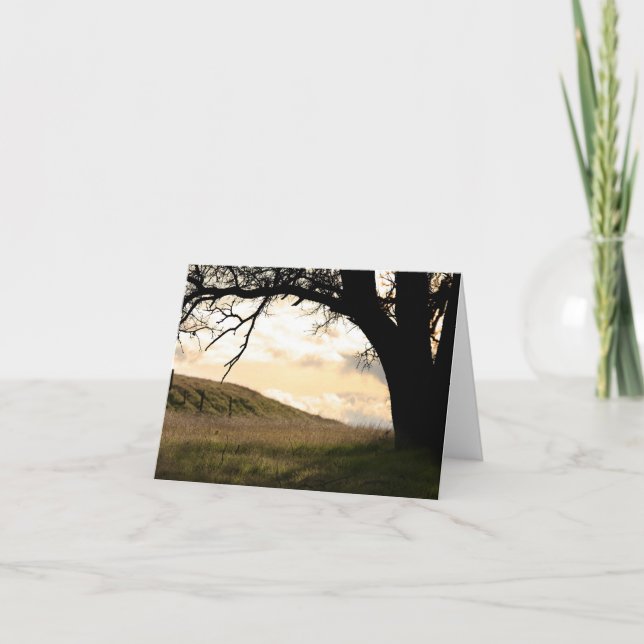 De Agradecimiento Tarjeta en blanco, paisaje (Anverso)