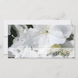 De Agradecimiento Tarjeta fotográfica White Azalea