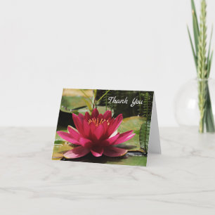De Agradecimiento Tarjeta Fuchsia Pink Water Lily