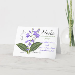 De Agradecimiento Tarjeta Hosta Blank