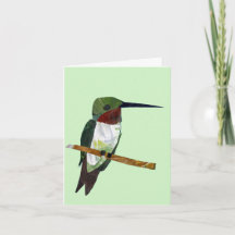 Tarjeta Hummingbird verde claro