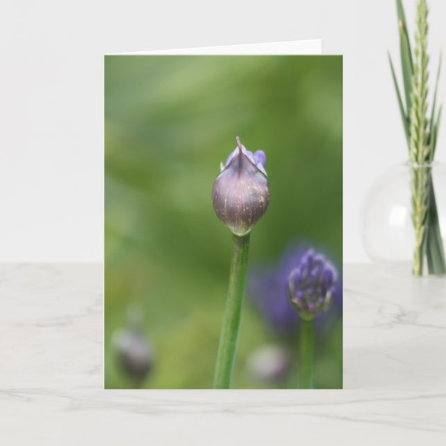 De Agradecimiento Tarjeta Lily africana (Anverso)