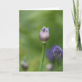 De Agradecimiento Tarjeta Lily africana