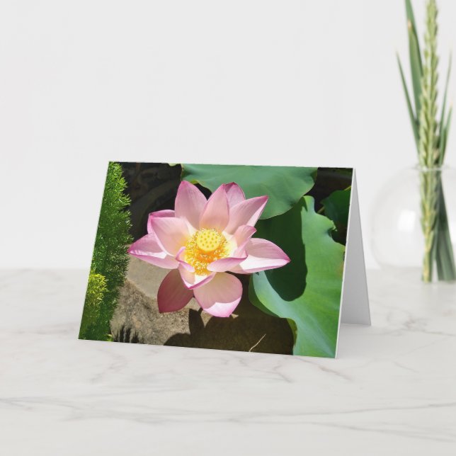 De Agradecimiento Tarjeta Lotus (Anverso)