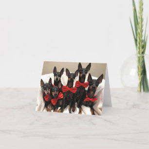 De Agradecimiento Tarjeta Manchester Terrier